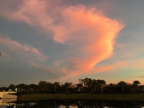 18:11:53 GMT-0500 (EST).image