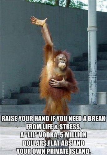 19:56:47 GMT-0800 (PST).image