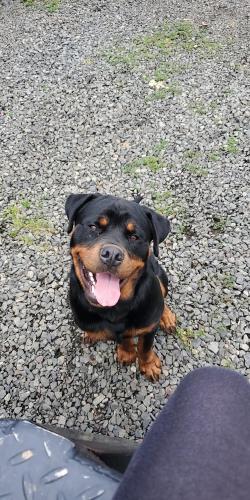 17:00:48 GMT-0800 (PST)