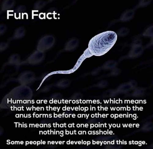 13:12:53 GMT-0700 (MST).image