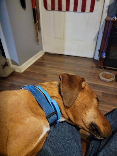 18:50:22 GMT-0600 (CST)