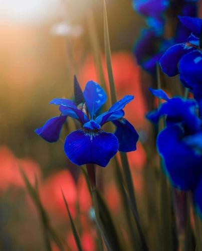 07:11:56 GMT-0600 (CST)