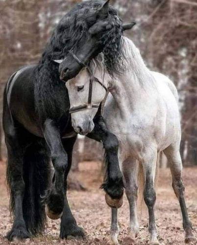 14:10:41 GMT-0600 (CST)