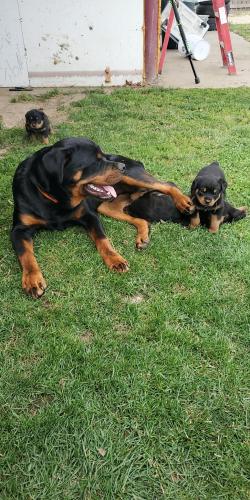 17:00:48 GMT-0800 (PST)