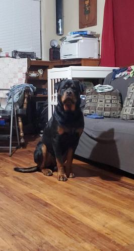 17:00:48 GMT-0800 (PST)