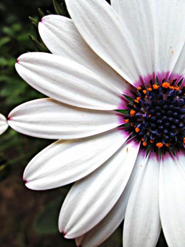 18:33:28 GMT-0800 (PST)