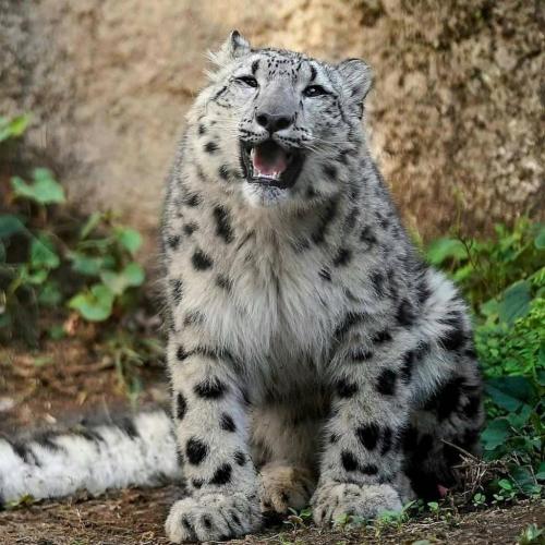 146443653_1792094274290110_3612634904762379898_o