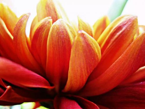 18:29:52 GMT-0800 (PST)