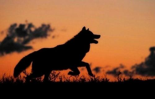 10:49:06 GMT-0600 (CST)