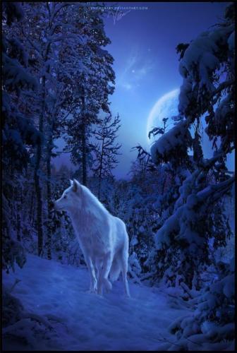 tumblr_d8dcc4252e30f6af02071070a6271931_278a735f_540