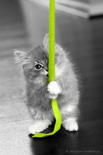 22:46:51 GMT-0600 (CST)