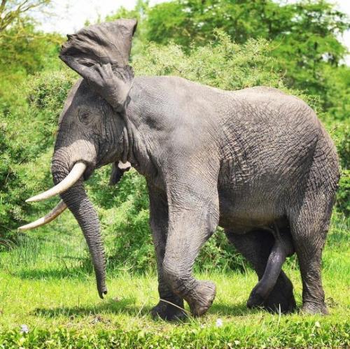 tumblr_713bbdbda07750c936d6a431d6335d14_36289cd1_540