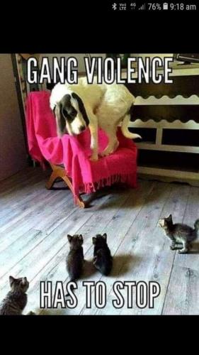 19:58:43 GMT-0500 (EST)