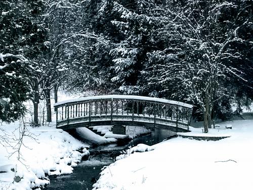 IMG_20180116_142401588