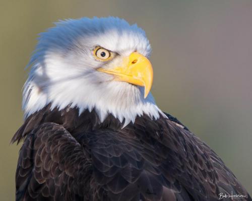 04:28:18 GMT-0600 (CST).image