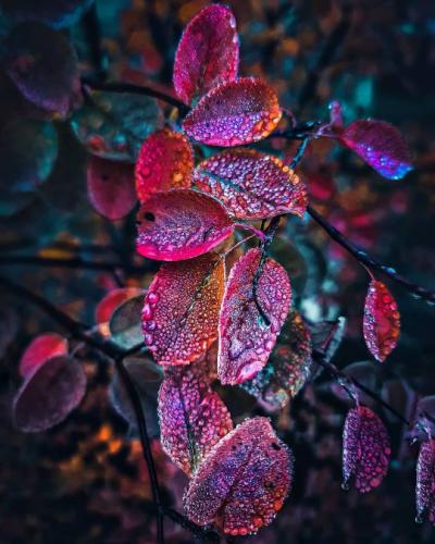 tumblr_65787b540e3594f707ef23f936a991c7_00887da7_540