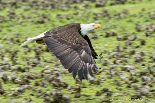 04:28:18 GMT-0600 (CST).image