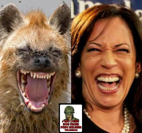 02:55:29 GMT-0600 (CST)