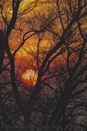 18:54:08 GMT-0600 (CST)