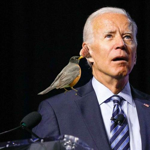 14:04:12 GMT-0400 (AST)