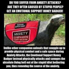 102561689_285453995919998_2115049996616698974_n