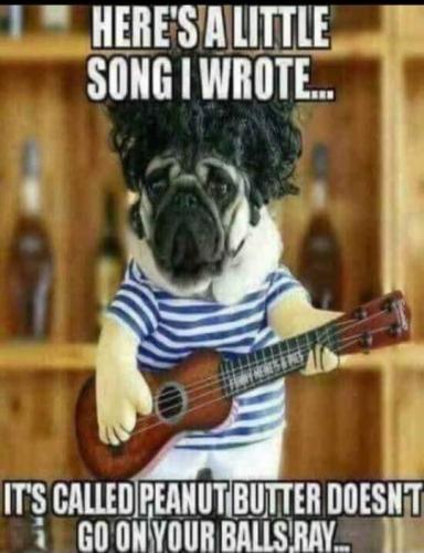 35975693_10216194816533598_3620112343343562752_n