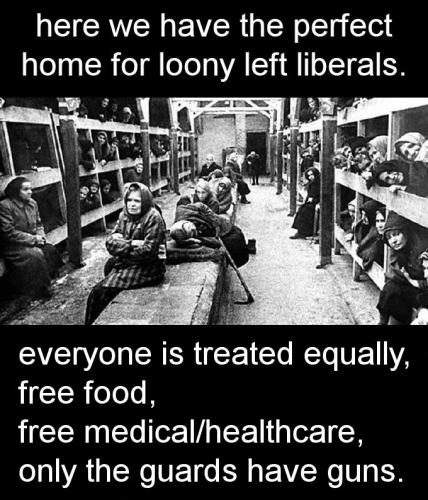 zlibtards217