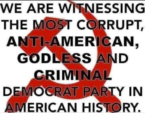 Screenshot_20210218-062319_Wimkin