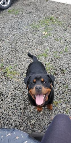 17:00:48 GMT-0800 (PST)