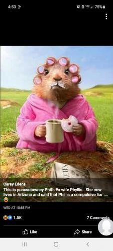 Punxsutawney Phil cartoon