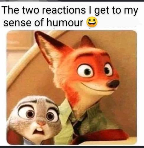 03:56:36 GMT-0500 (EST)