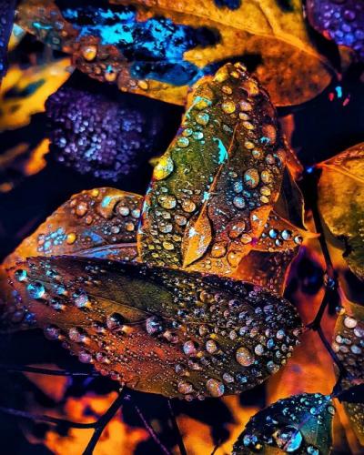 tumblr_0e67ddfa3e30015cbd3fa75142b1a248_d83d4b3d_540