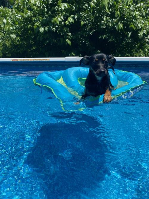 download_20210107_015244