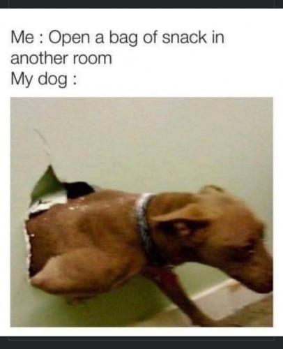 04:03:27 GMT-0800 (PST)