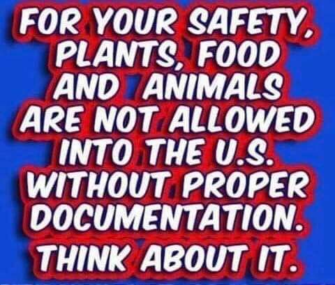 16:46:23 GMT-0600 (CST)