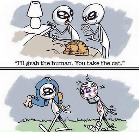 19:39:48 GMT-0500 (EST)