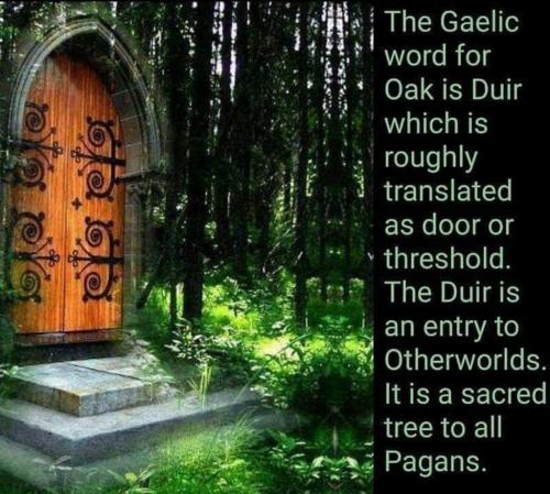 145137755_433800737962290_8215292148951041568_o (1)