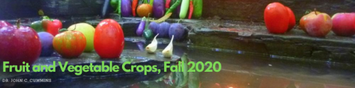 Fruit and Vegetable Crops, Fall 2020
