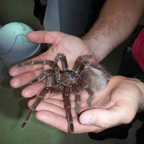 03:45:27 GMT-0500 (EST)