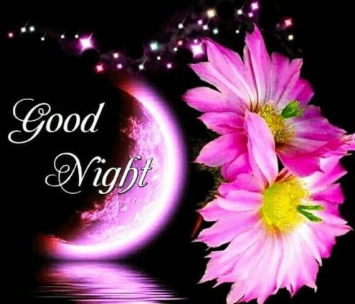 19:29:50 GMT-0600 (CST)