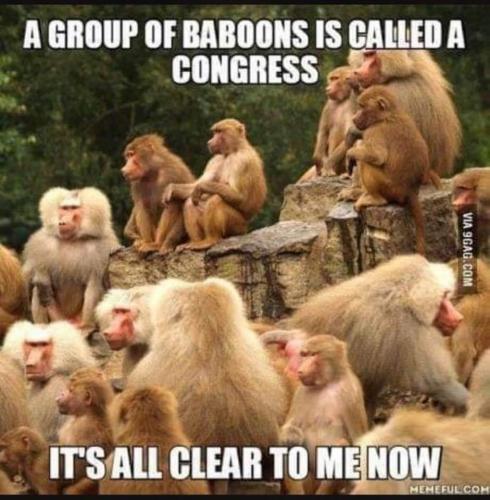 20:00:53 GMT-0500 (EST).image