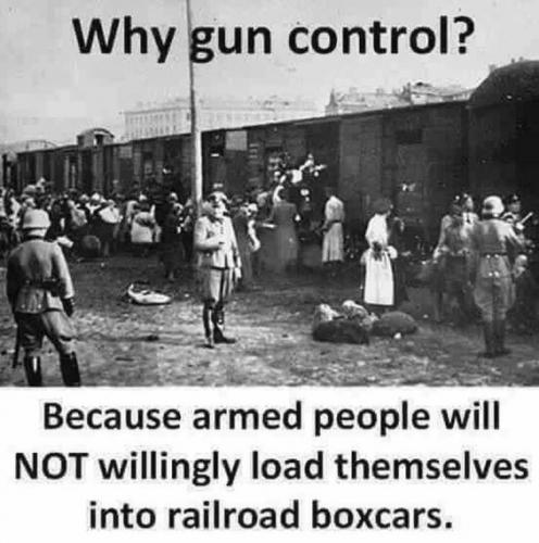 gun control61