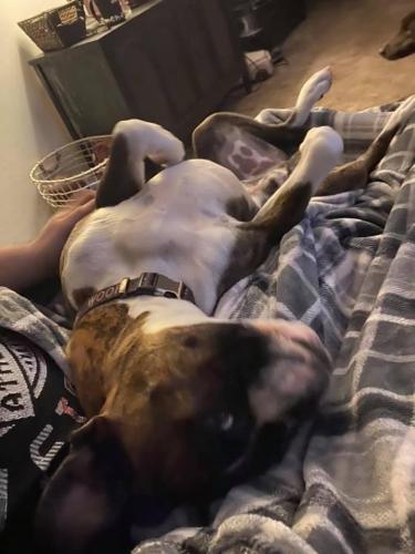 18:18:47 GMT-0600 (CST).image