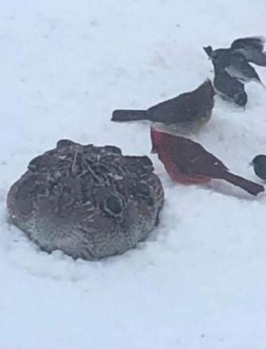 05:45:03 GMT-0700 (MST)