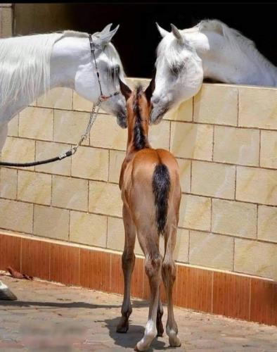 13:46:11 GMT-0600 (CST)