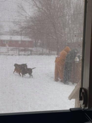 18:26:51 GMT-0600 (CST).image