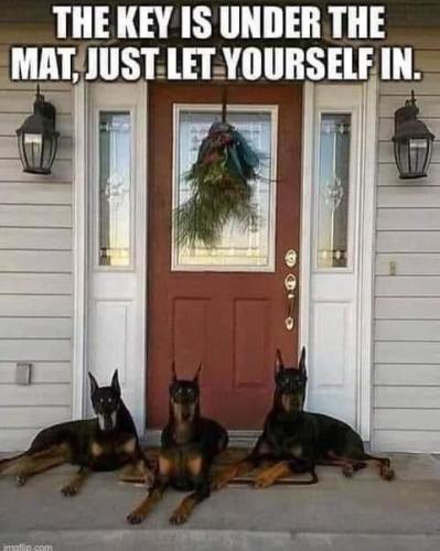 15:03:47 GMT-0800 (PST)