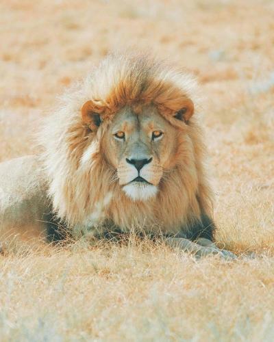 146564525_113076977420340_5367076325217432963_o