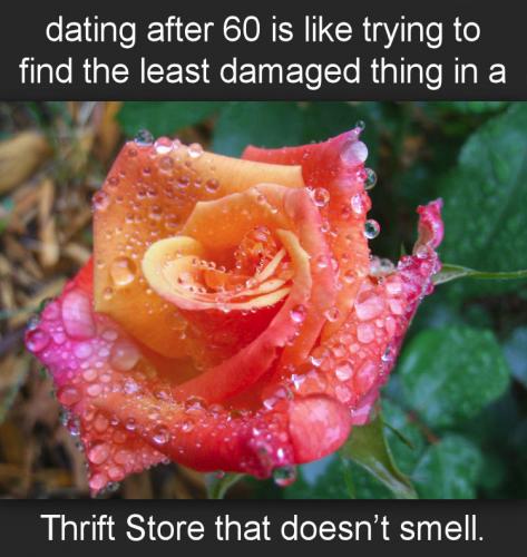 dating after sixty