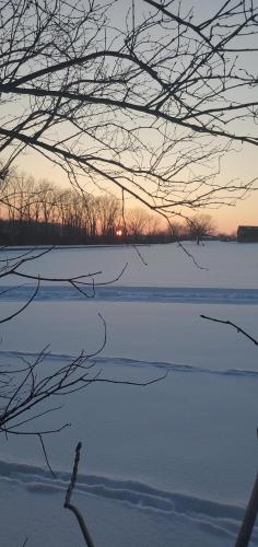 18:13:11 GMT-0500 (EST)